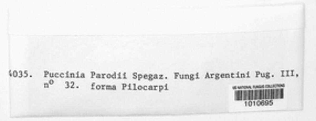 Puccinia parodii image